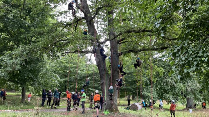 Spejdere klatrer i træ på SL2022